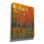 «Changer les couleurs I» par Tim O'toole, art mural sur toile-998993606