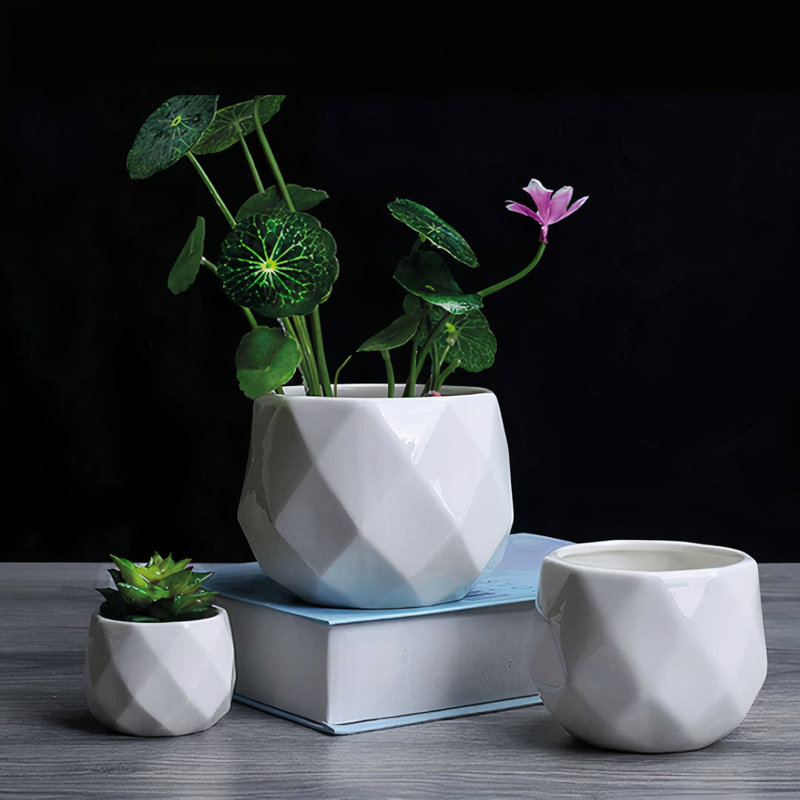 Jarreau Ceramic Pot Planter