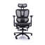 Fauteuil de bureau réglable en filet noir ergonomique avec appui-tête et repose-pieds, chaise de conférence / bureau d'ordinateur
