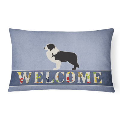  Coussin Border Collie