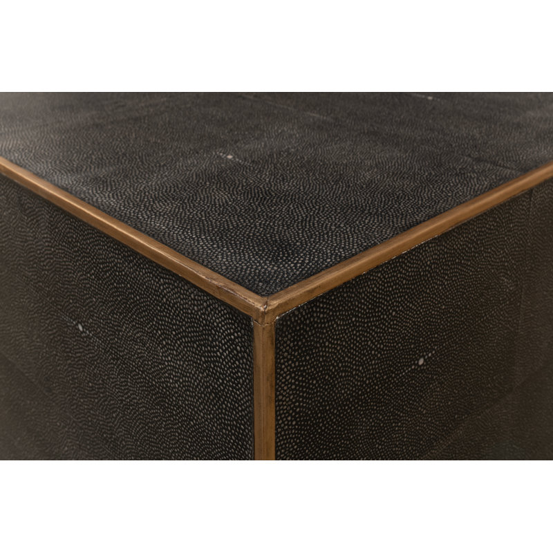 Shagreen Coffee Table