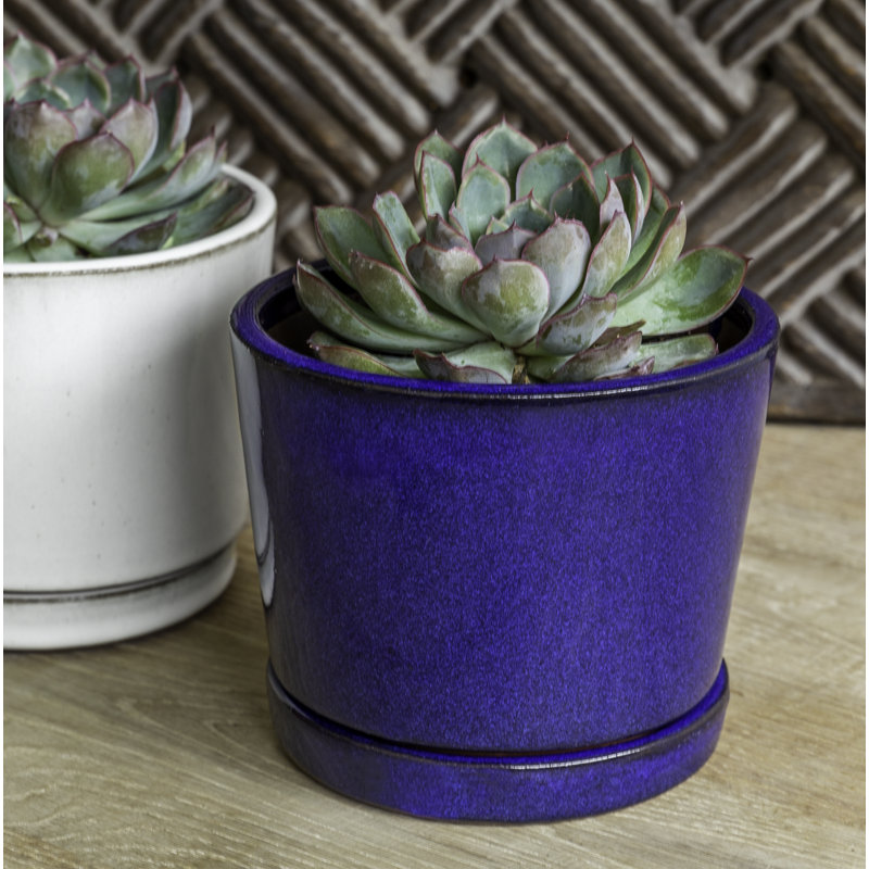 Ensemble de pot de fleurs en terre cuites émaillés 6 pièces i/o series terra, Blanc, H 4,25 po x l 5,25 po x P 5,25 po