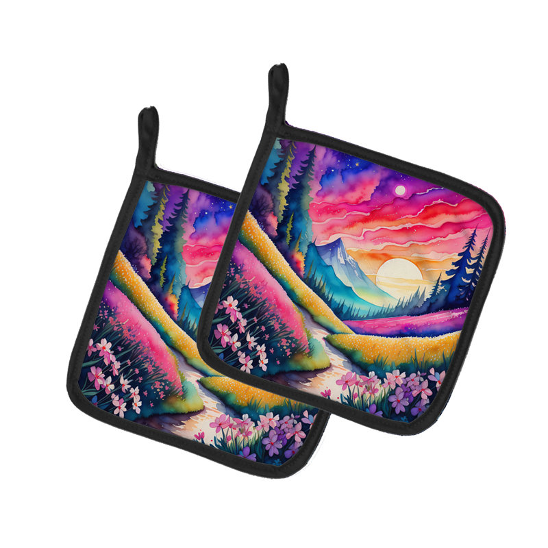 Paire de poignées colorées Phlox