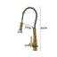 Belfry Kitchen Catawba Pull Down Kitchen Faucet-1534255677