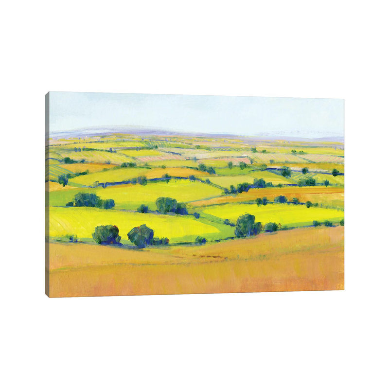 Patchwork Vista II by Tim O'Toole - Wrapped Canvas Gallery-Wrapped Canvas Giclée, 30.48 cm H x 45.72 cm W