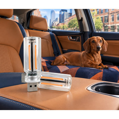 Cet ensemble de 2 mini lampes DEL portatives en forme de bouteille en verre se branche pour créer une ambiance lumineuse rétro dans l'intérieur d'une voiture, avec une gradation tactile et un éclairage violet pour les véhicules, les corridors, le camping ou la décoration d'Halloween.