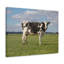Wall Art on Canvas