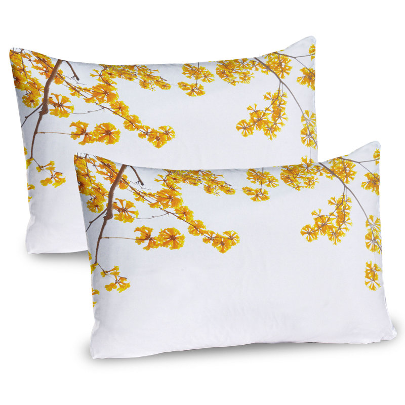 Ensemble de 2 taies décoratives Ambesonne, H 20 po x l 30 po