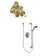 Shower Faucet with Rough-in Valve and Posi-Temp