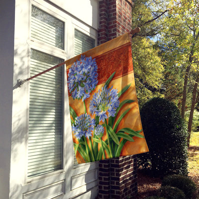 Drapeau de jardin 2 côtés agapanthus par judith yates