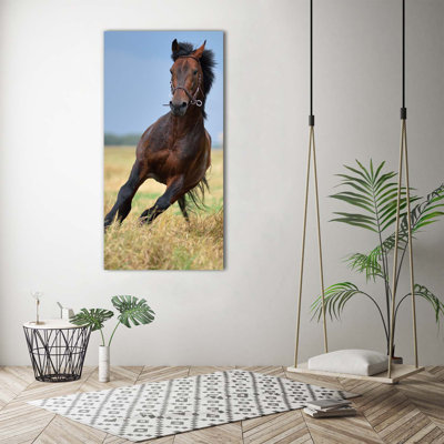 Roe - Wrapped Canvas Print