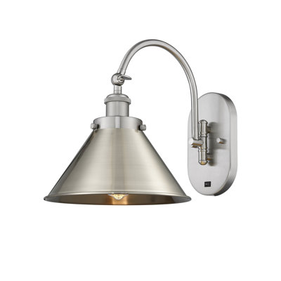 Paylor - Brushed Satin Nickel - Adjustable Swing Arm
