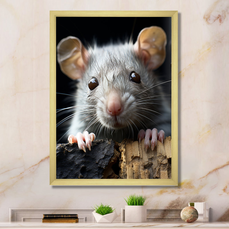 «White Cute Rodent Portrait III», reproduction sur toile encadrée, H 44 po x l 34 po x P 1,5 po, Encadrement doré