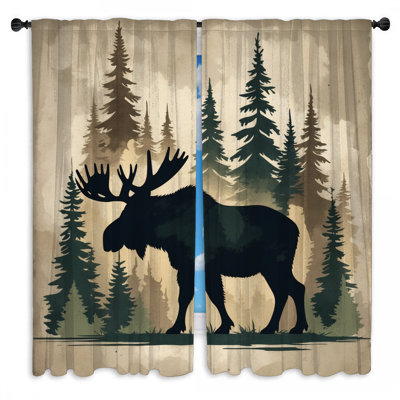 Moose In Forest