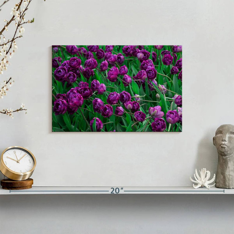 Alvord Violet Tulips, 8" H x 12" W