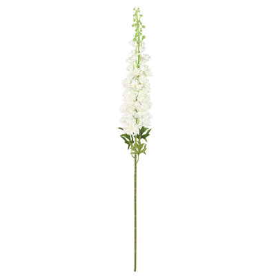 Brume artificielle Delphinium
