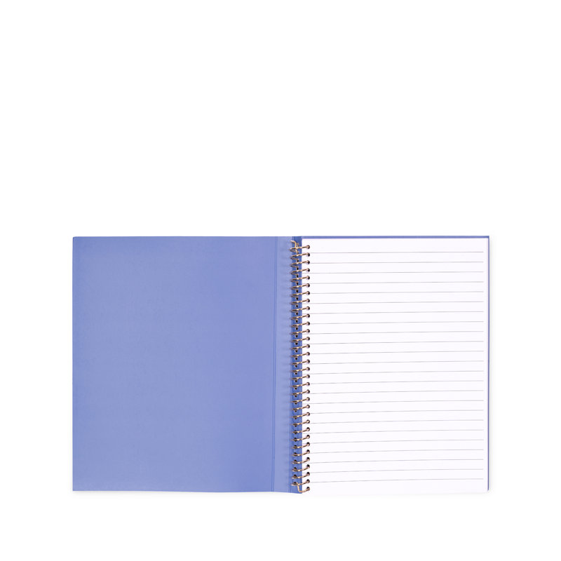 Cahier à spirale dissimulé, Spade Smiley