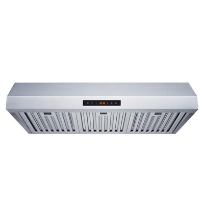  Hotte sous un meuble 30 pouces 600 CFM convertible en acier inoxydable