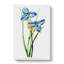 Blue Iris Flowers - Wrapped Canvas-55304100