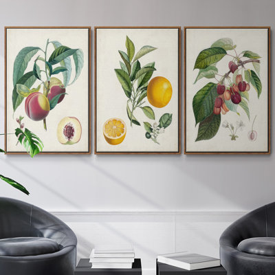 " Bigarrade Couronnee " 3 - Pieces