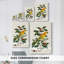 Oiseau en toile tendue avec châssis V-Premium - prêt à être accroché-108956371