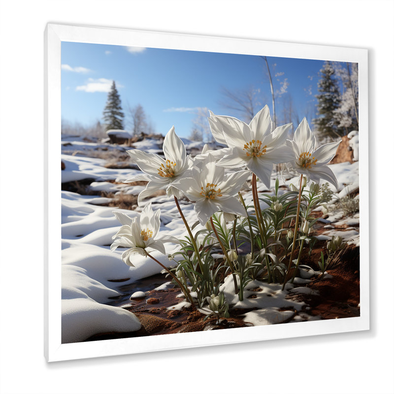 «Realistic Snowdrops Winter Chills» - impression, Cadre simple blanc, H 24 po x l 24 po x P 1 po