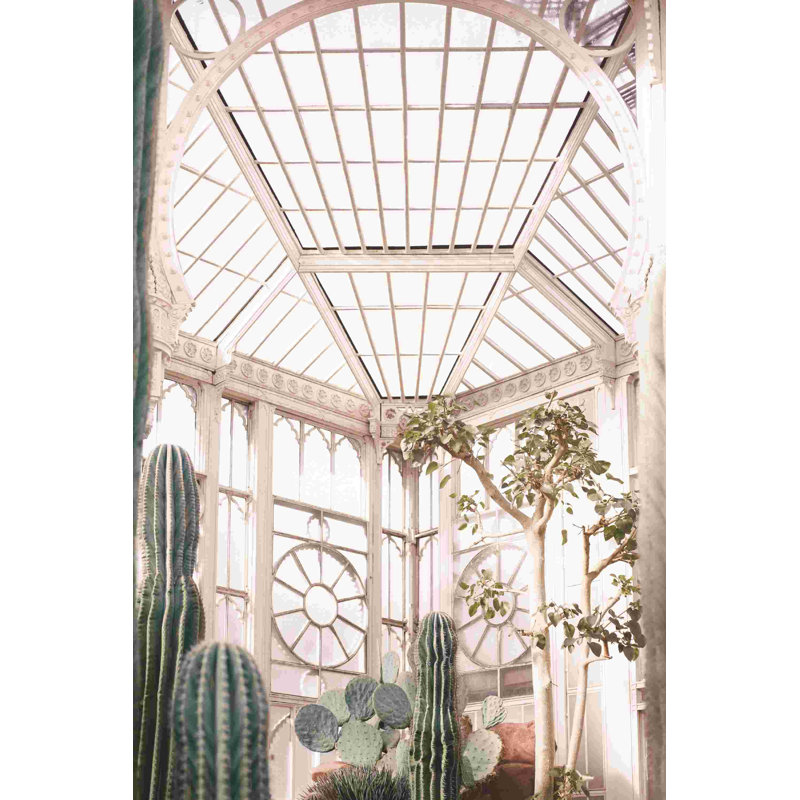Cactus de serre par - on, H 12 po x l 8 po
