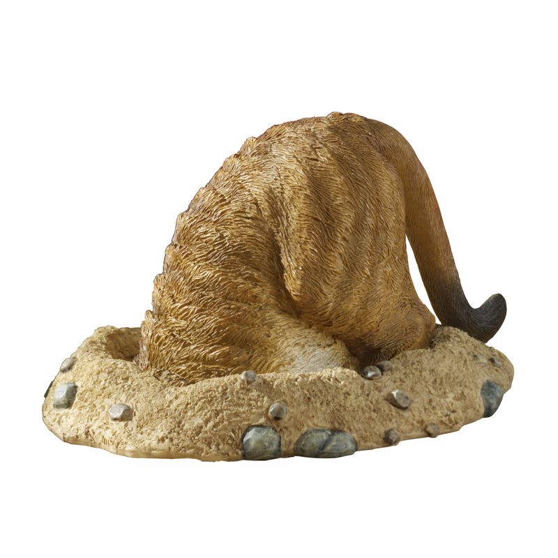 Statue kalahari into hole Meerkat