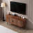 Modern TV Console with Sliding Door and Storage Compartment-1350698455-1350698448