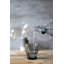 Duralex Picardie Grey 250ml Drinking Glass-49585700