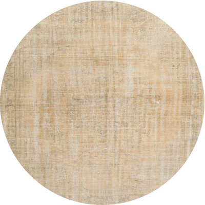 Oriental Indoor Rug