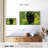 Brampt Lurking Black Jaguar-107696027