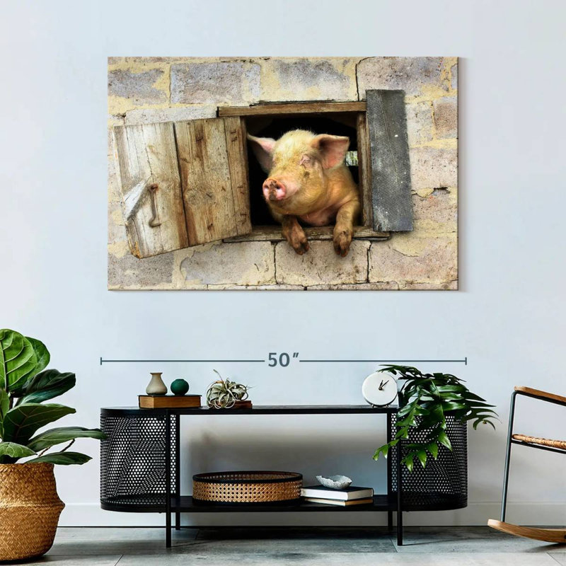 Brampt souriant cochon