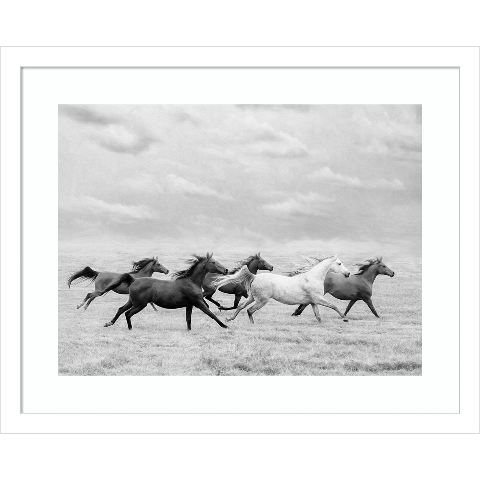 Horse Run I by PHBurchett, White, 15" H x 18" W