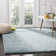 Helsel Shag Performance Machine Washable Solid Color Rug
