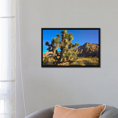 «Joshua Tree with The Virgin Mountains, Arizona» par Tim Fitzharris - reproduction d'art sur toile tendue