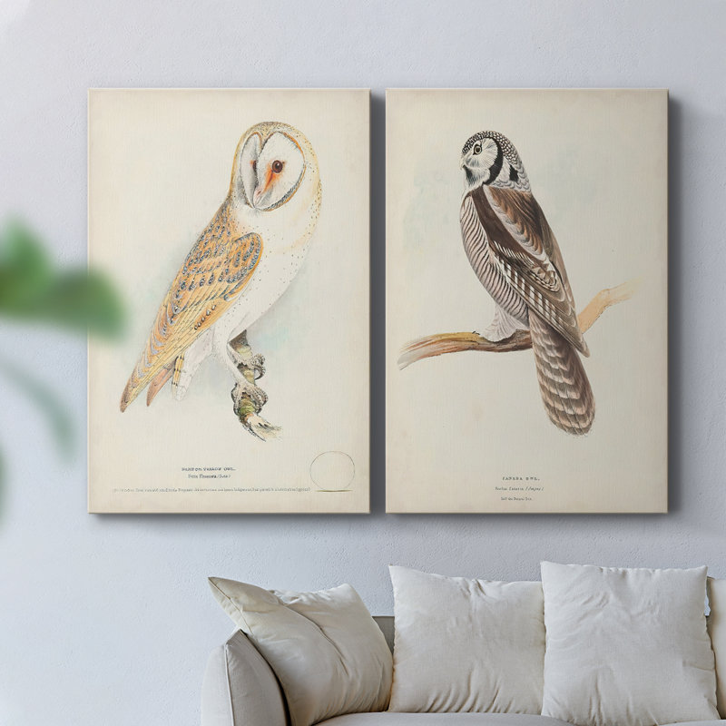 Barn Owl - Toile tendue avec châssis de qualité supérieure - Prêt à être accroché, H 36 po x l 48 po