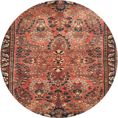 Oriental Indoor Rug