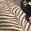 Tapis zébré Albertslund-1553258054-1393919566
