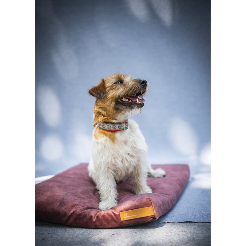 Polyester Pet Bed, 8cm H x 90cm W x 110cm D, Red