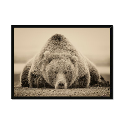 Deep Sleep by PHBurchett - Print