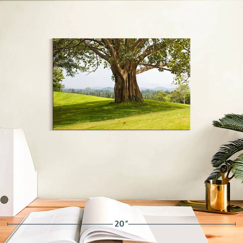 Arbre véritable Harnek, H 8 po x l 12 po