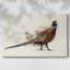 Toile tendue Pheasant Splash-665498334