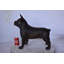 Bizzell French Bulldog Standing Made of Bronze Statue - Size: 9"L x 20"W x 18"H.