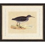Purple Sand Piper Painting
