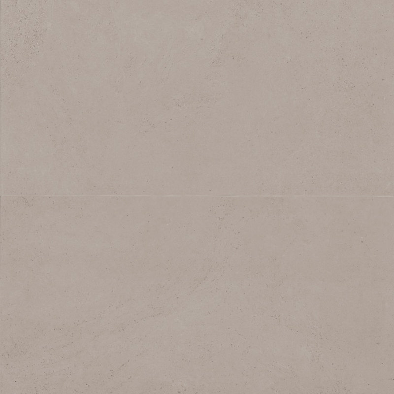 Thaddeus 24" x 48" Matte Porcelain Wall & Floor Tile, Taupe