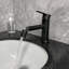 Robinet pour salle de bain à un trou en acier inoxydable noir mat avec poignée simple