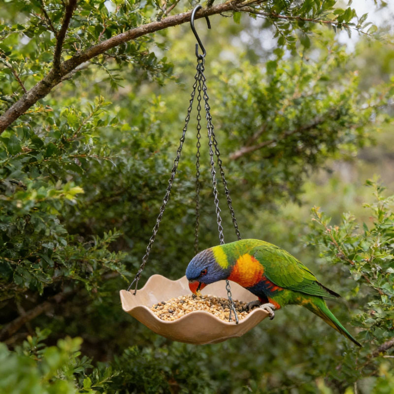 Mangeoire en plastique pour oiseaux, Pink
