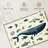 Sea Animals-107673850