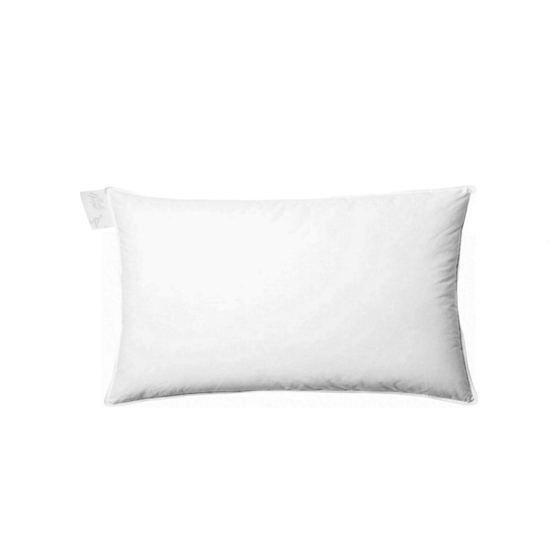 Studio Down Pillow, Rectangle 20" H x 36" W